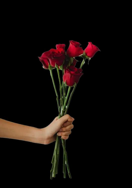 Same-Day Flower Delivery in Toronto: What You Need to Know