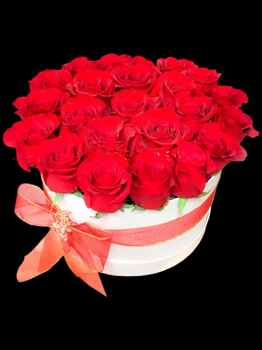 24 red roses arranged in a white round box from Bana Florist