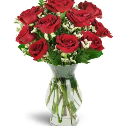 Devoted to You™ Red Roses
